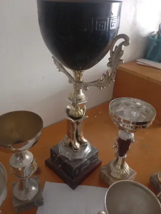 Lote de Trofeos