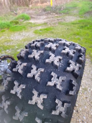 Yamaha Raptor YFM 660 R Azul y Blanco