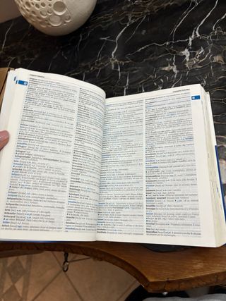 DIZIONARIO DI  FRANCESE