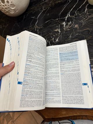 DIZIONARIO DI  FRANCESE