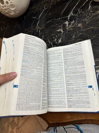 DIZIONARIO DI  FRANCESE