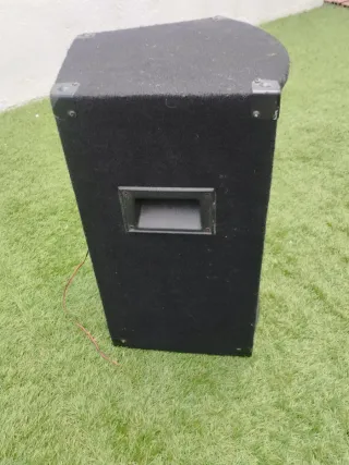 Subwoofer CGC Discoteca Negro