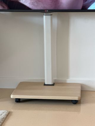 TV LG 55 con soporte de ruedas