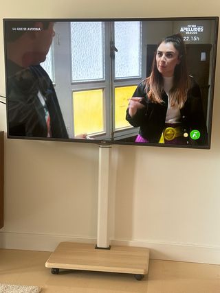 TV LG 55 con soporte de ruedas