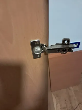 Puertas de armario madera clara 204,5 x 35