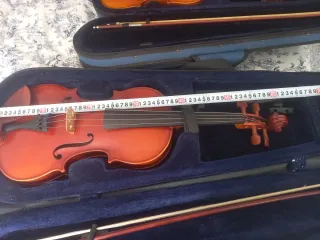 Viola con funda y arco