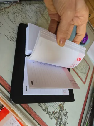 Organizador agenda anillas doradas