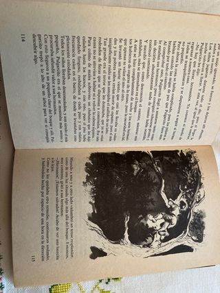 Libro infantil Cuentos de Perrault