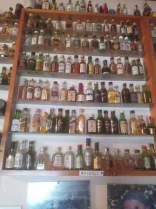 Colección Botellas Miniatura  estanterias 1300 und