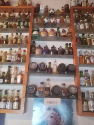 Colección Botellas Miniatura  estanterias 1300 und