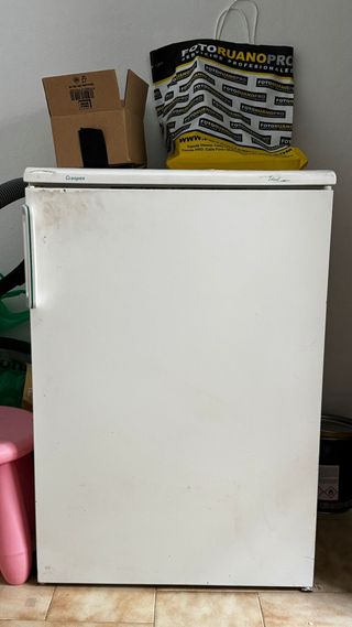 Nevera pequeña blanca