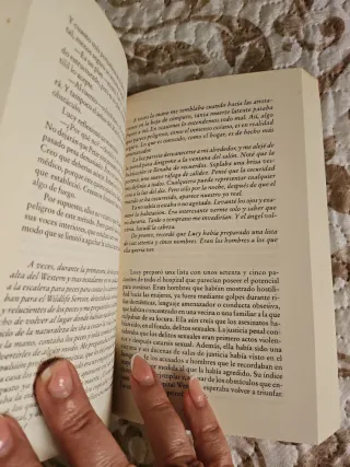 2x1 La historia del loco (Spanish Edition)