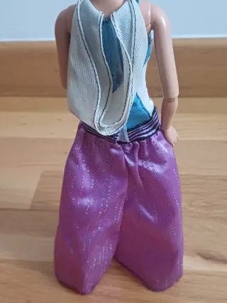 Barbie articulada brazos y piernas