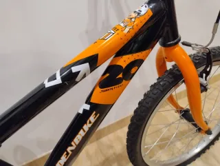 Bicicleta infantil Denbike 20