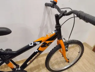 Bicicleta infantil Denbike 20
