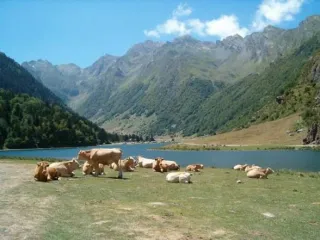Viajes Camper autocaravana Pirineos para familias