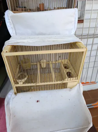 Jaulas C-2 Acero Inoxidable