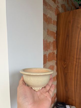 Maceta bonsái de cerámica beige