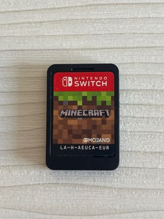 Minecraft Nintendo Switch
