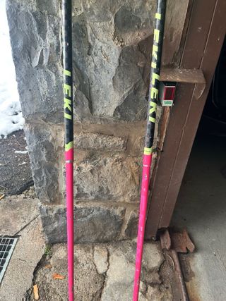 Bastones Leki de carbono + protecciones slalom