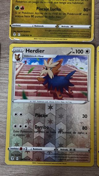 Lote de cartas Pokémon