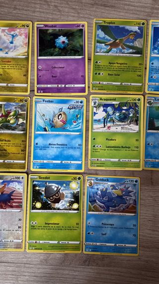 Lote de cartas Pokémon