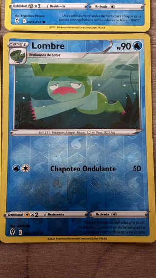 Lote de cartas Pokémon