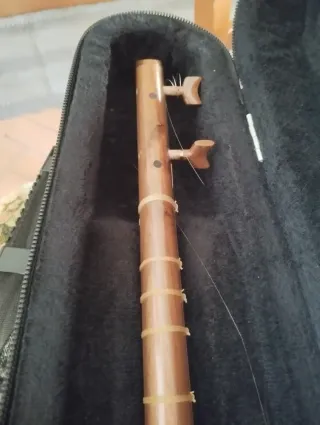 Tambur persiano in custodia