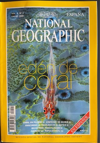 Colección Revistas NATIONAL GEOGRAPHIC AÑO 1999
