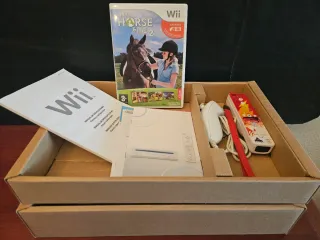 Nintendo Wii Family Edition