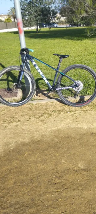 Bicicleta Trek Marlin 6