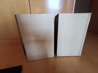 Altavoces Technics Beige y Negro