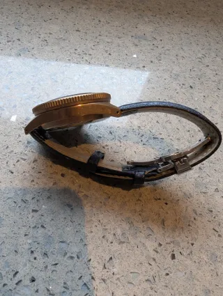 Reloj Steeldive Bronce Azul