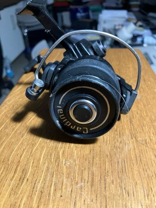 Mulinello Abu Garcia Cardinal 55