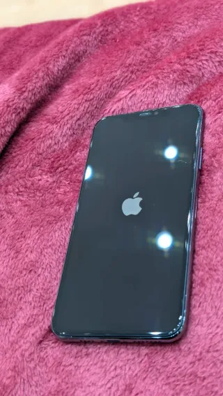 iPhone 11 Pro Max Gold/Green
