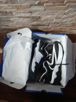 Nike Giannis Antetokounmpo Zapatillas Baloncesto