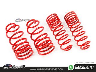 MUELLES DEPORTIVOS MTS TECHNIK MTSXTO003