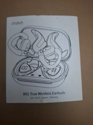 Chalvh B01 True Wireless Earbuds