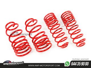 MUELLES DEPORTIVOS MTS TECHNIK MTSXVW448