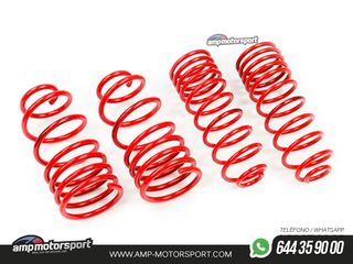 MUELLES DEPORTIVOS MTS TECHNIK MTSXFI037