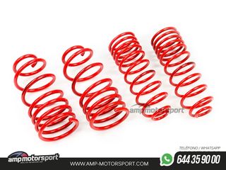 MUELLES DEPORTIVOS MTS TECHNIK MTSXTO108