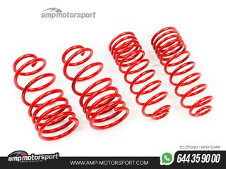 MUELLES DEPORTIVOS MTS TECHNIK MTSXVW084