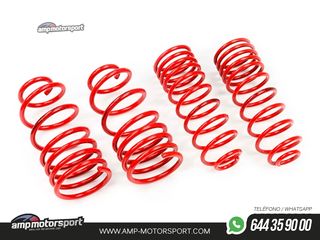 MUELLES DEPORTIVOS MTS TECHNIK MTSXVW317