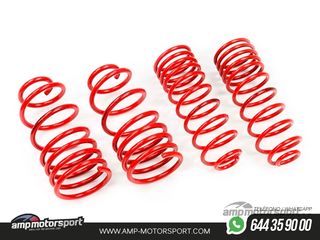 MUELLES DEPORTIVOS MTS TECHNIK MTSXVW450