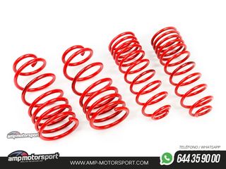 MUELLES DEPORTIVOS MTS TECHNIK MTSXVW362