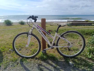 Bicicleta Orbea niña montaña