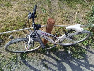 Bicicleta Orbea niña montaña