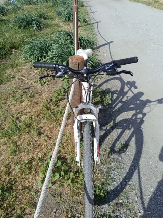 Bicicleta Orbea niña montaña
