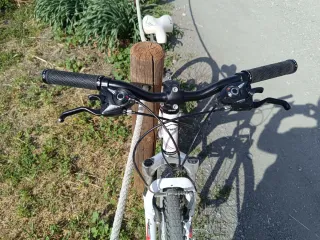 Bicicleta Orbea niña montaña