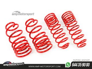 MUELLES DEPORTIVOS MTS TECHNIK MTSXSE135